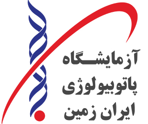 آزمایشگاه ایران زمین